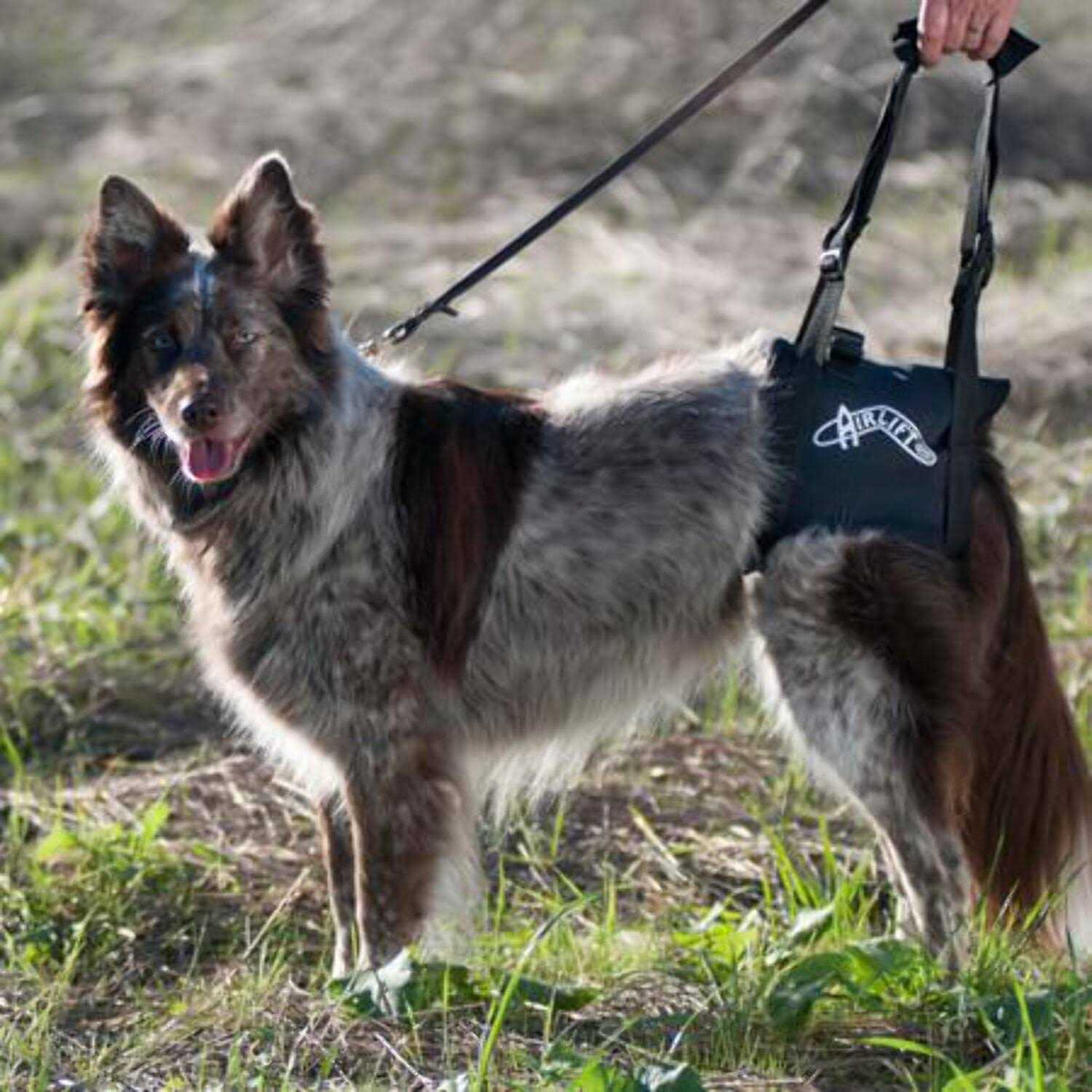 Support Harness J742962