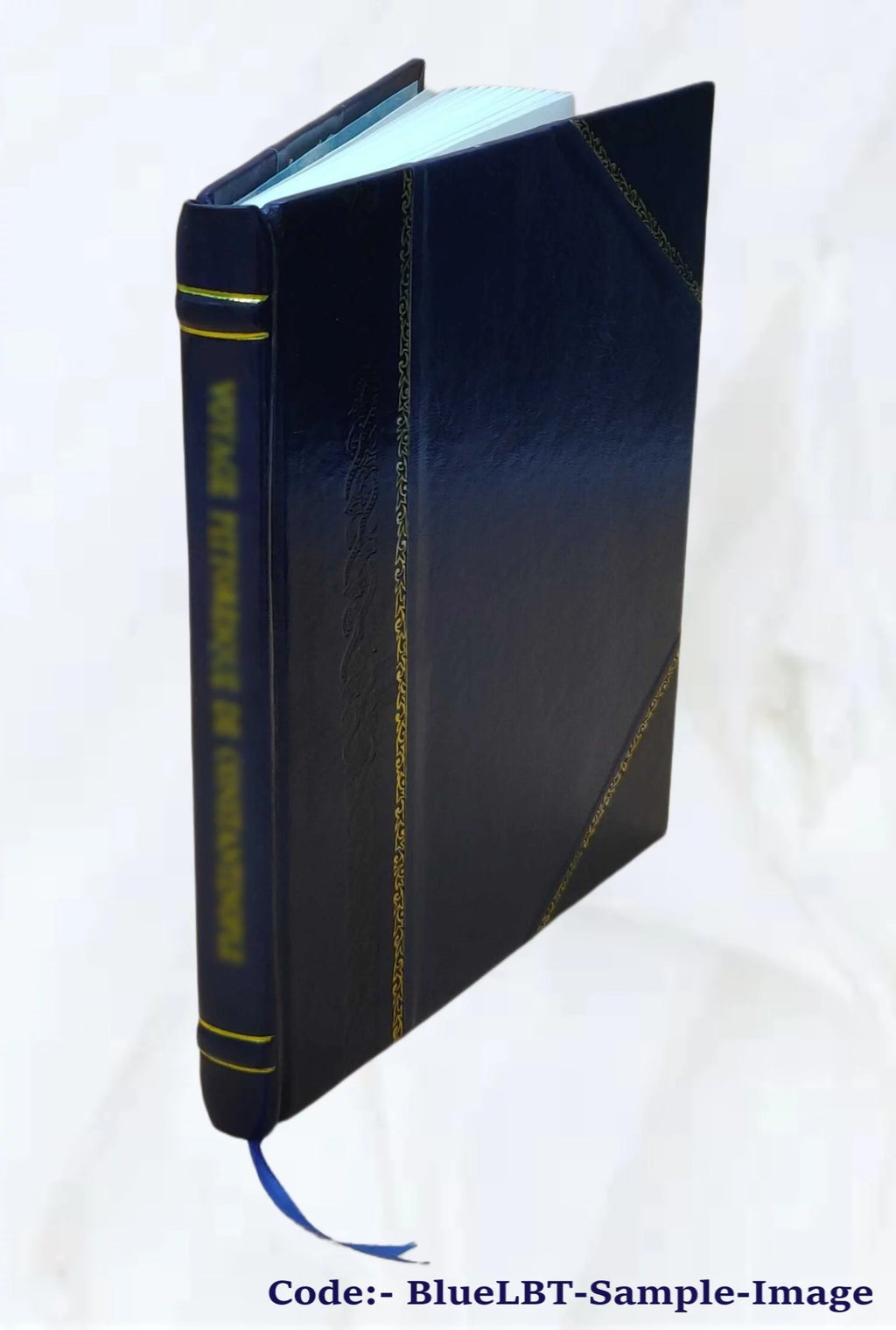 Leather Bound Furniture I529301