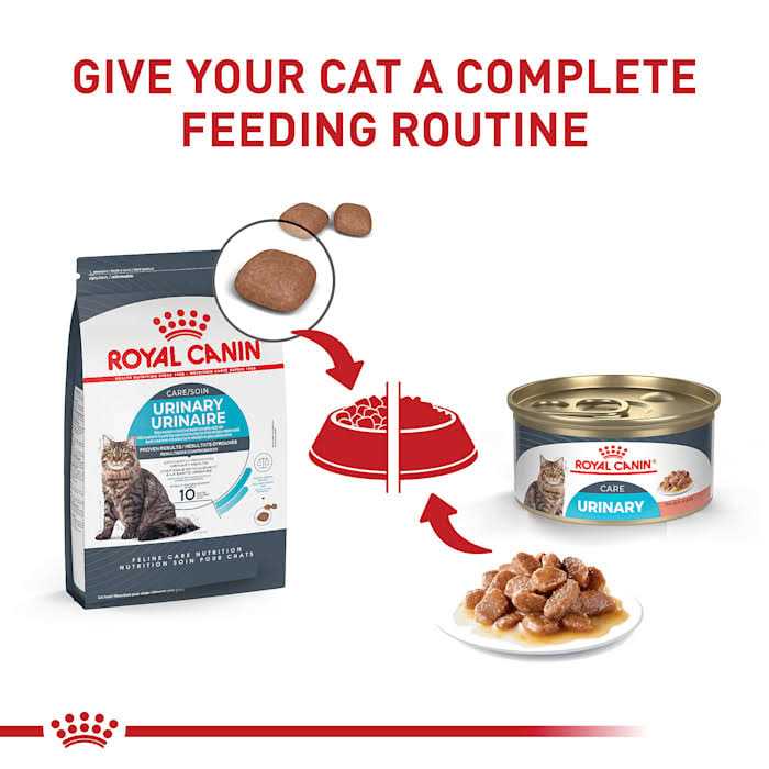 Thin Slices in Gravy Wet Cat Food Q590