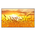 43" High Brightness Smart Outdoor Television F1155