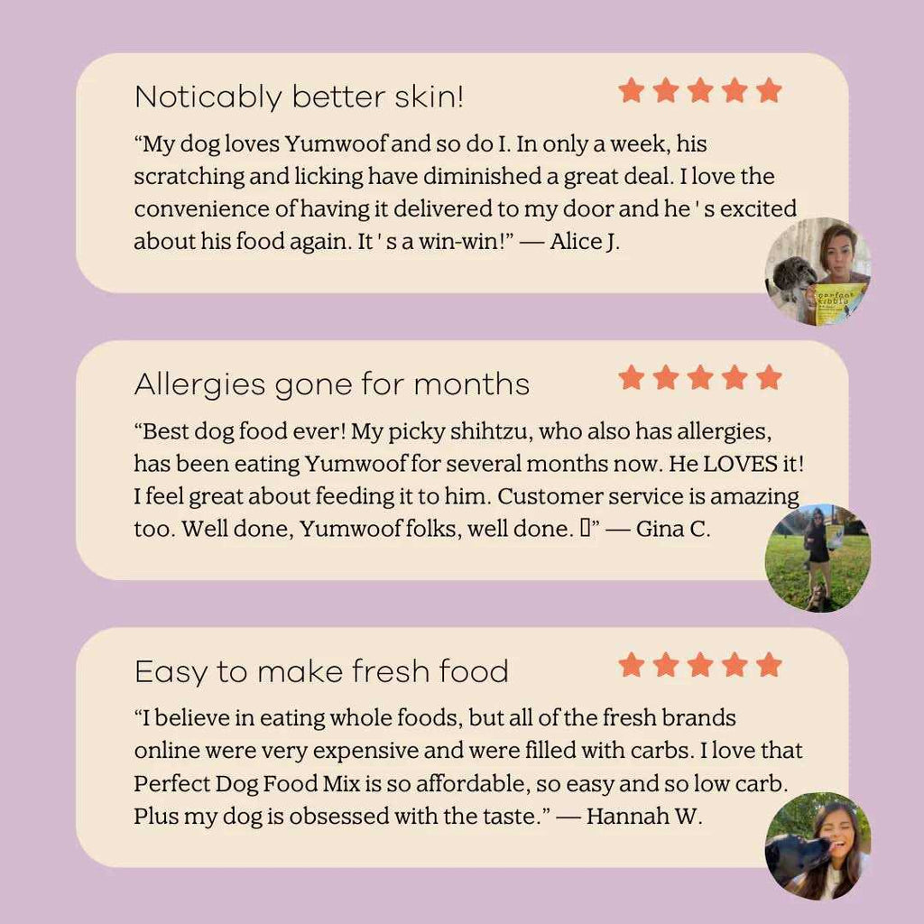 Dog Food Mix V9570