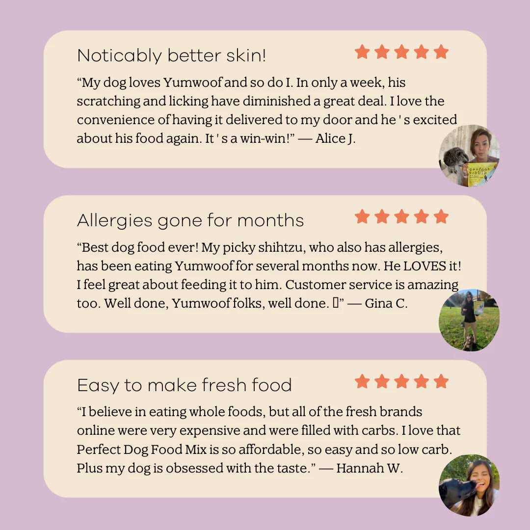 Dog Food Mix V9570