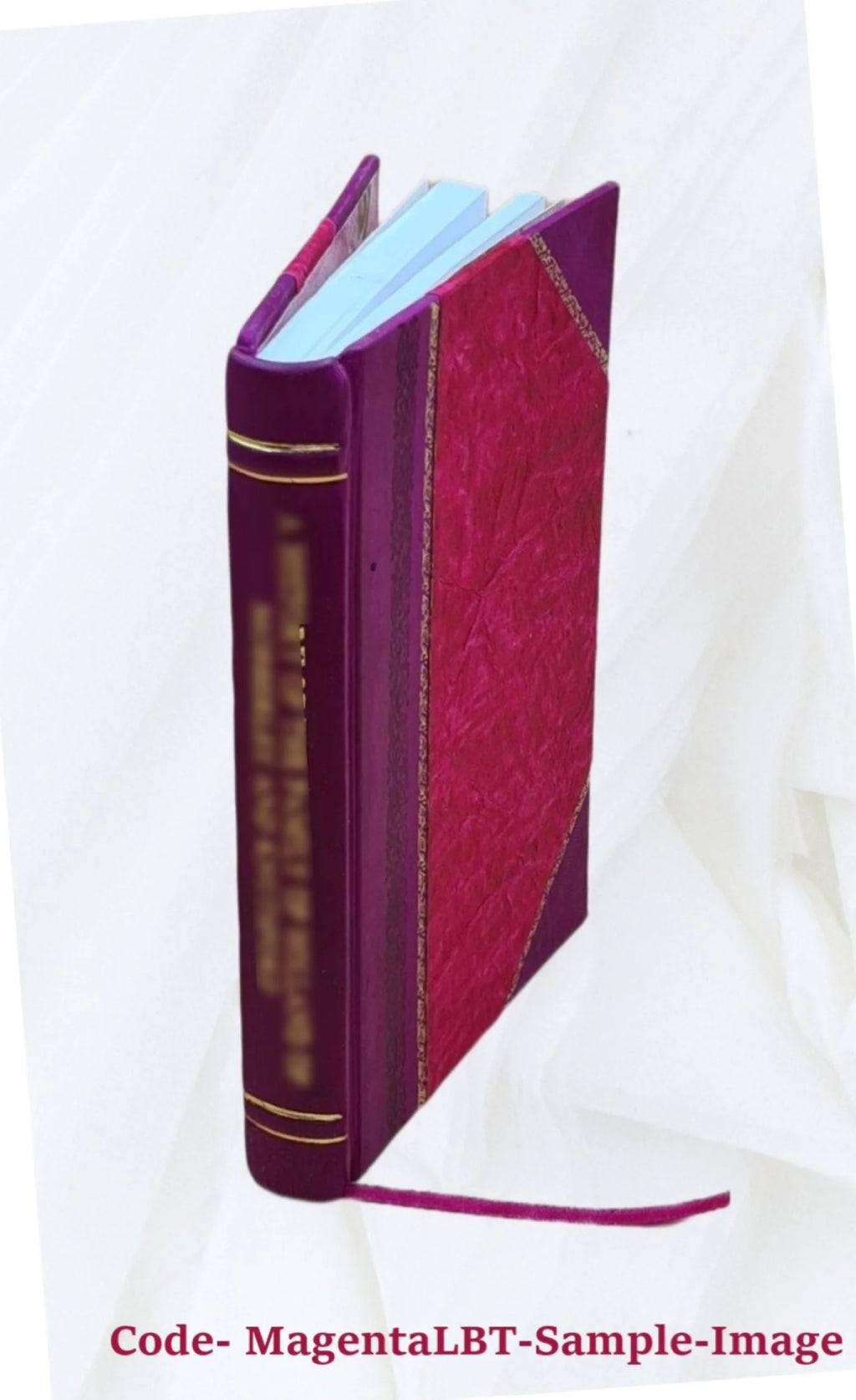 Leather Bound Furniture I529301
