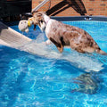 Pool Bundle J22043