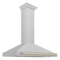 48 Inch Stainless Steel Range Hood with Gold Handle Q509305