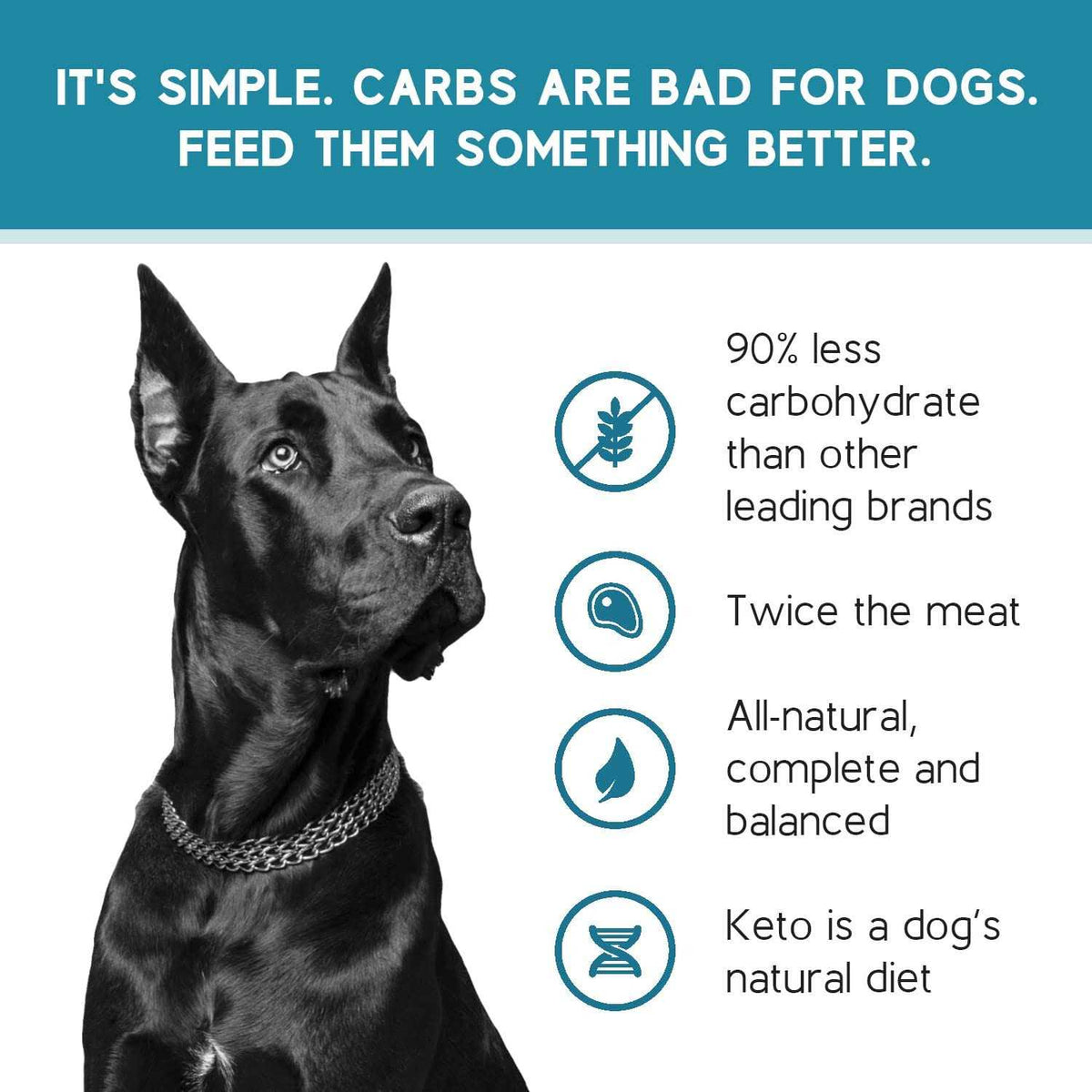 Salmon Recipe Adult Dry Dog Food S45674