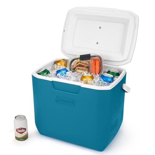 30qt Insulated Portable Cooler with Carry Handle Y71351