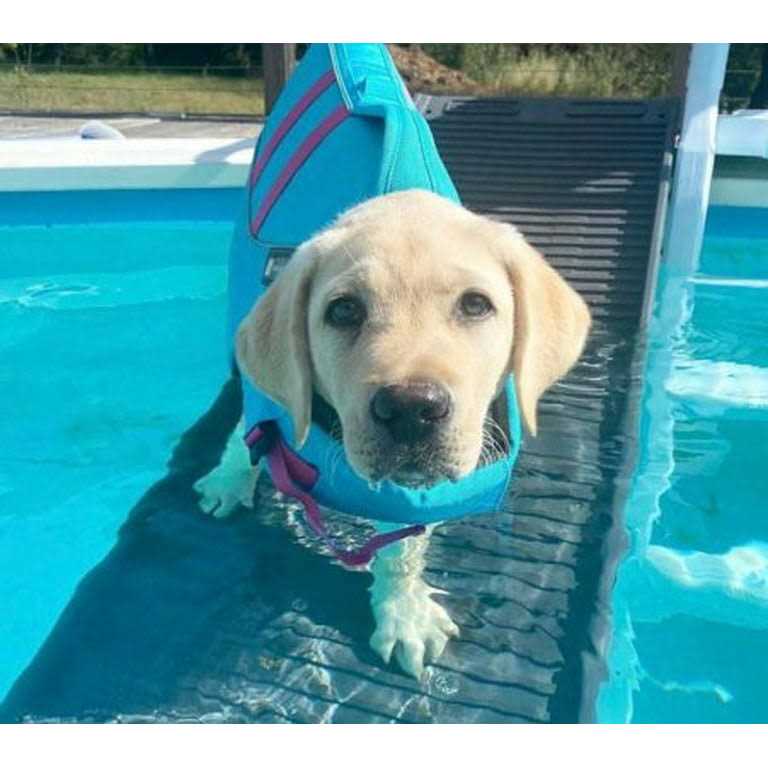 Pool Bundle J22043