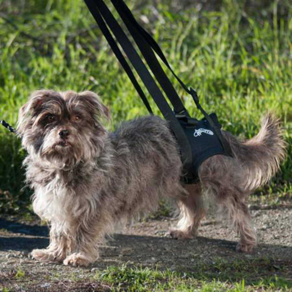 Support Harness J742962