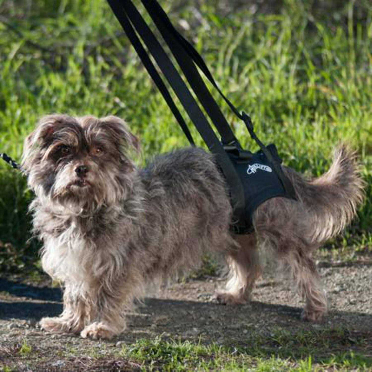 Support Harness J742962