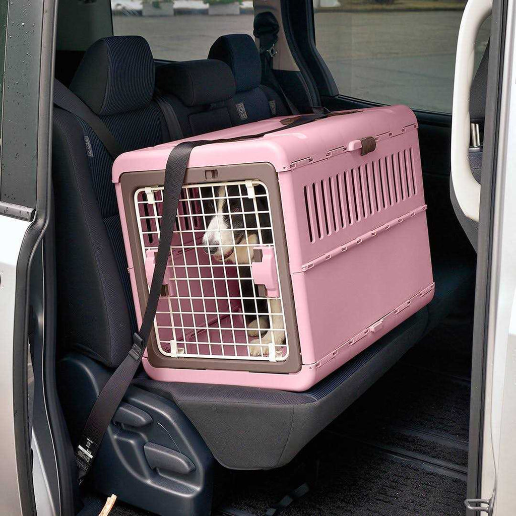 Foldable Pet Carrier K185401