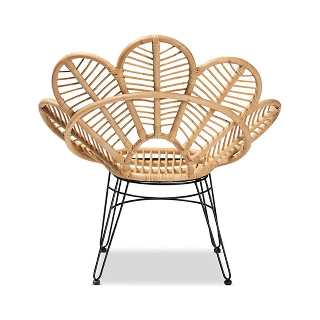 Natural Brown Rattan and Black Metal Accent Chair F54118