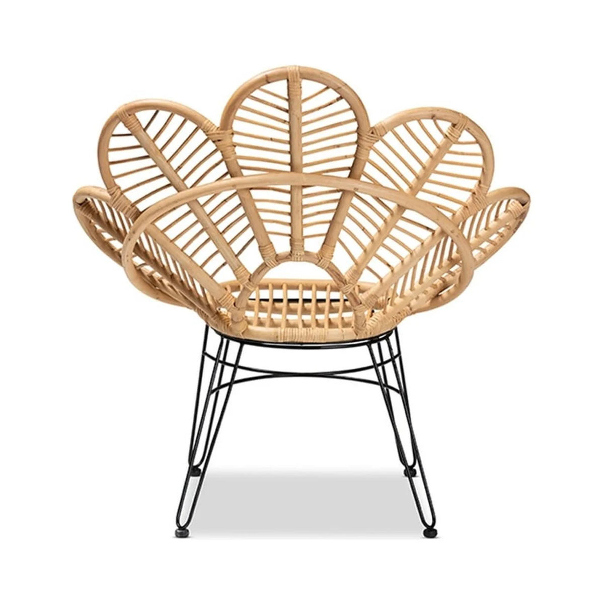 Natural Brown Rattan and Black Metal Accent Chair F54118