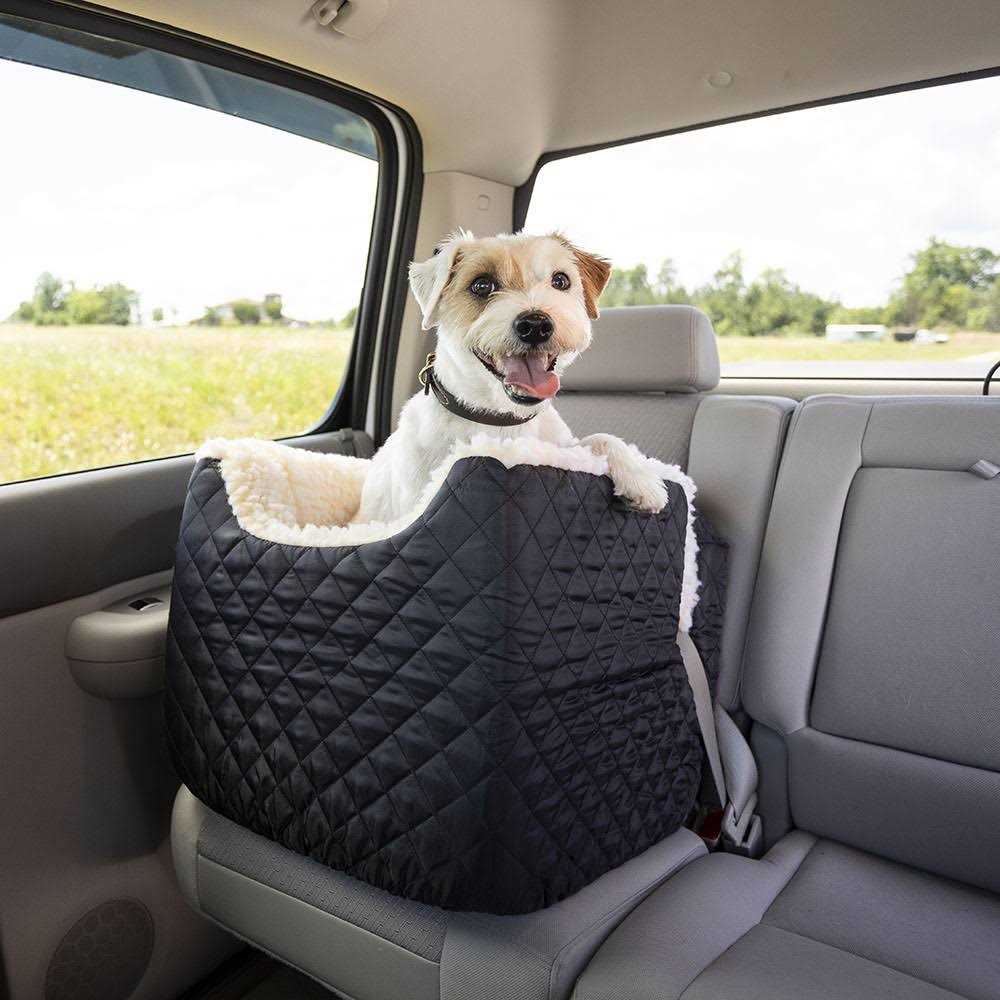 Pet Car Seat R883006