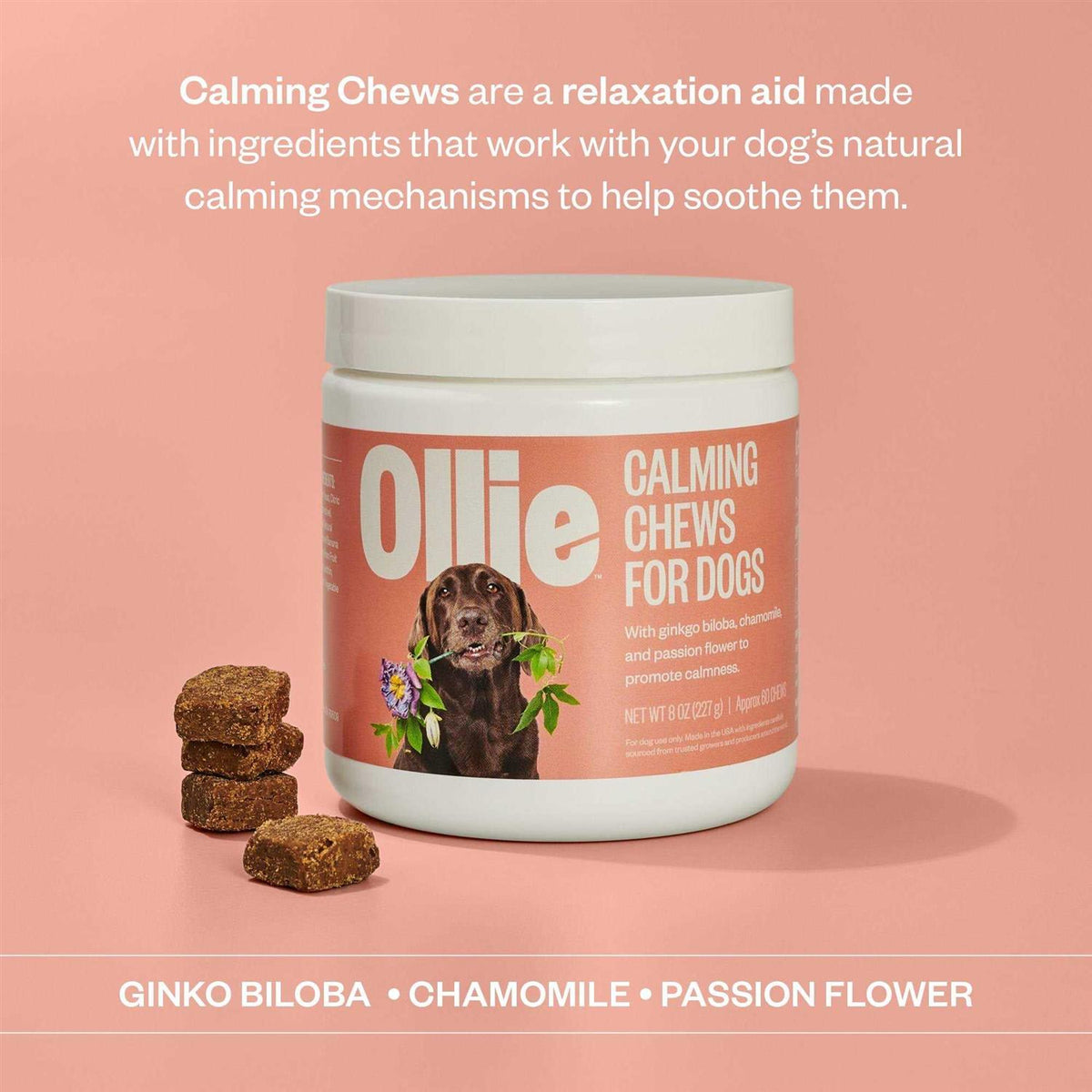 Calming Chews Dog Supplements D9209