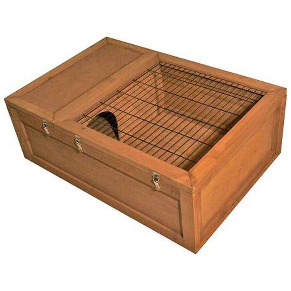 Tortoise House B2522