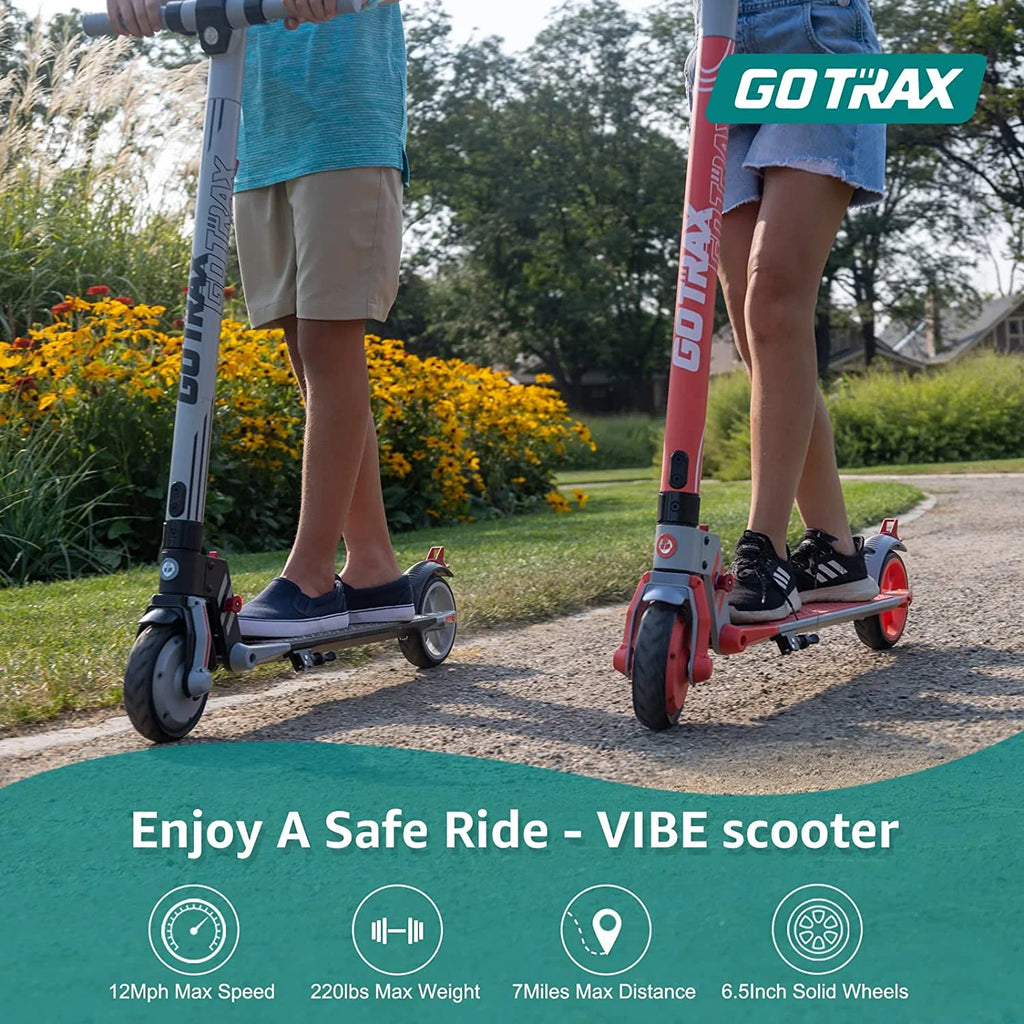 Blue 250W Foldable Electric Scooter R821