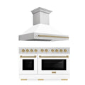 48 Gas Range and Range Hood in Stainless Steel V3872