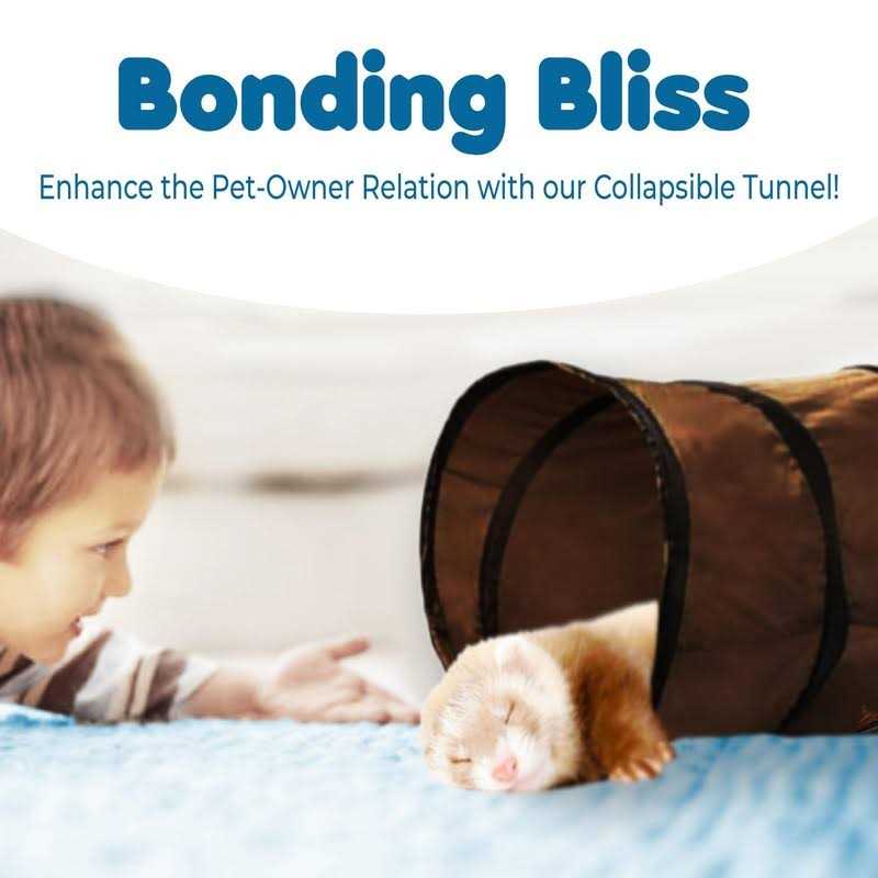 Collapsible Polyester Tunnel with Steel Frame and Carrying Case S8468