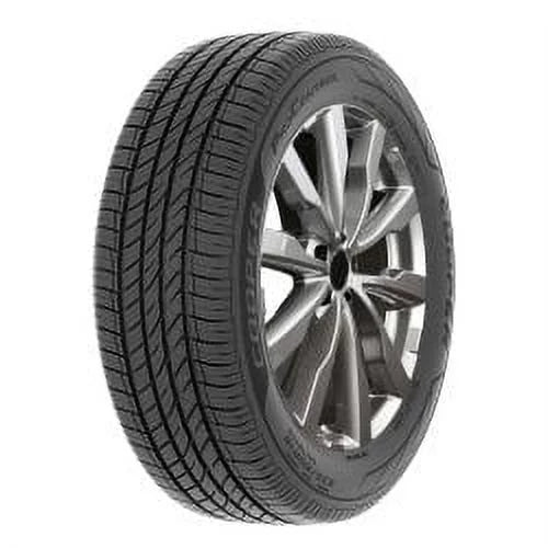 225/55R19 99V Tire T60211