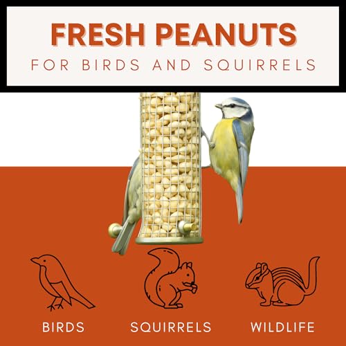 Raw Peanuts for Birds & Squirrels 10lbs N40819