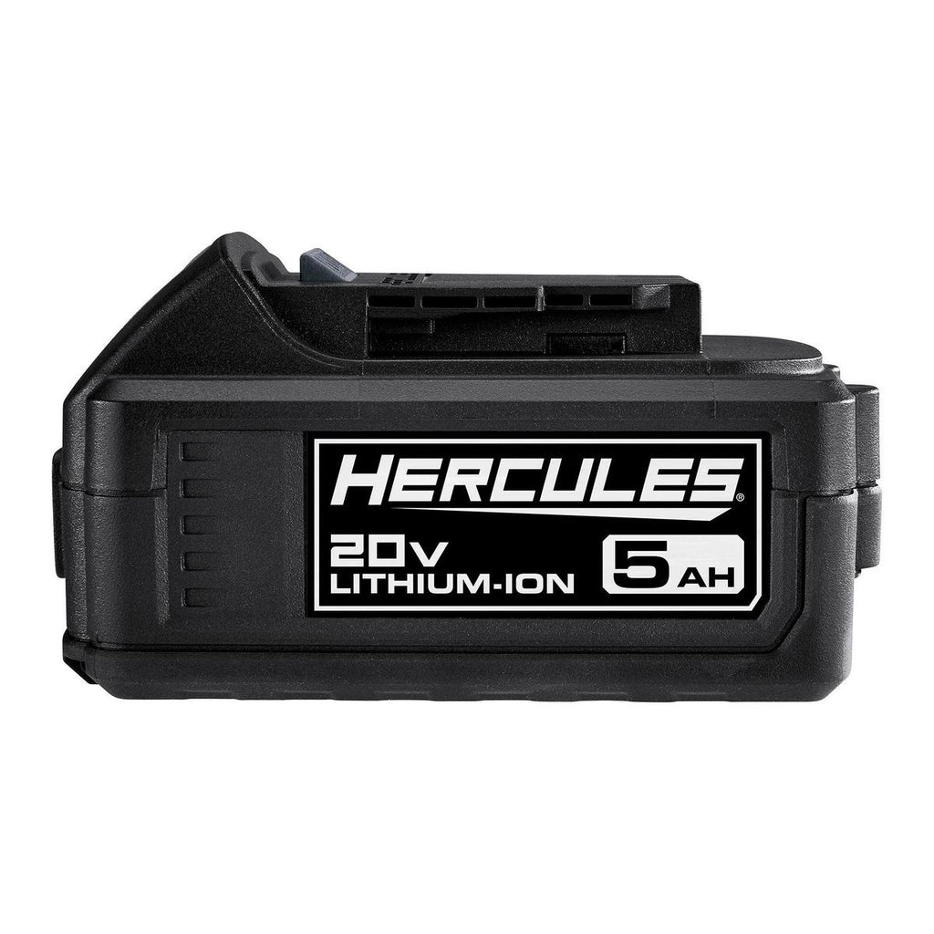 20V 5 Ah Lithium-Ion Battery L1558
