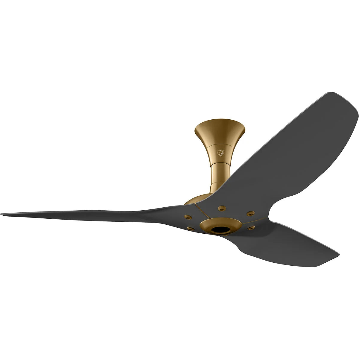 Black Ceiling Fan W74778