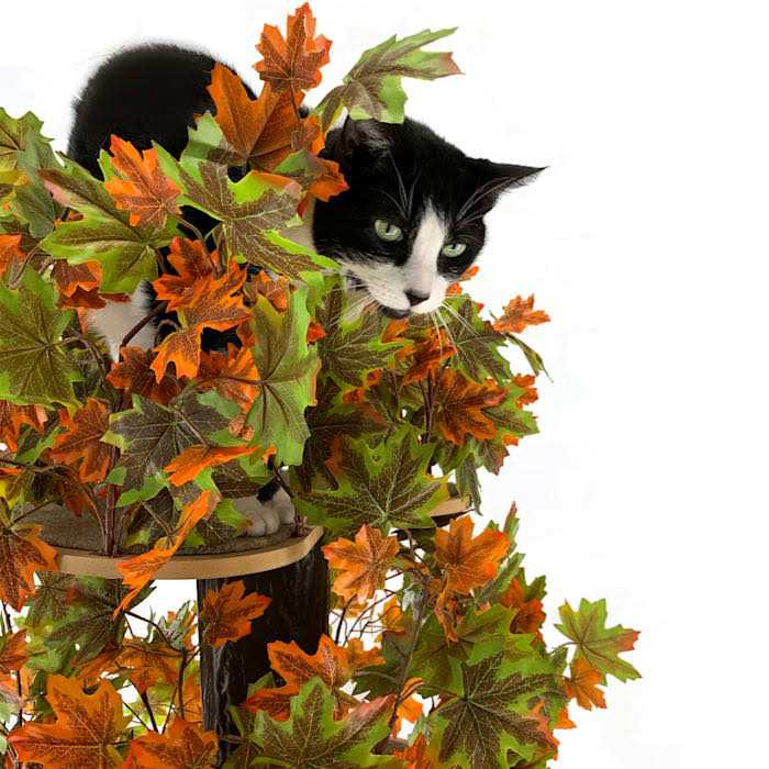 Square Cat Tree S69062