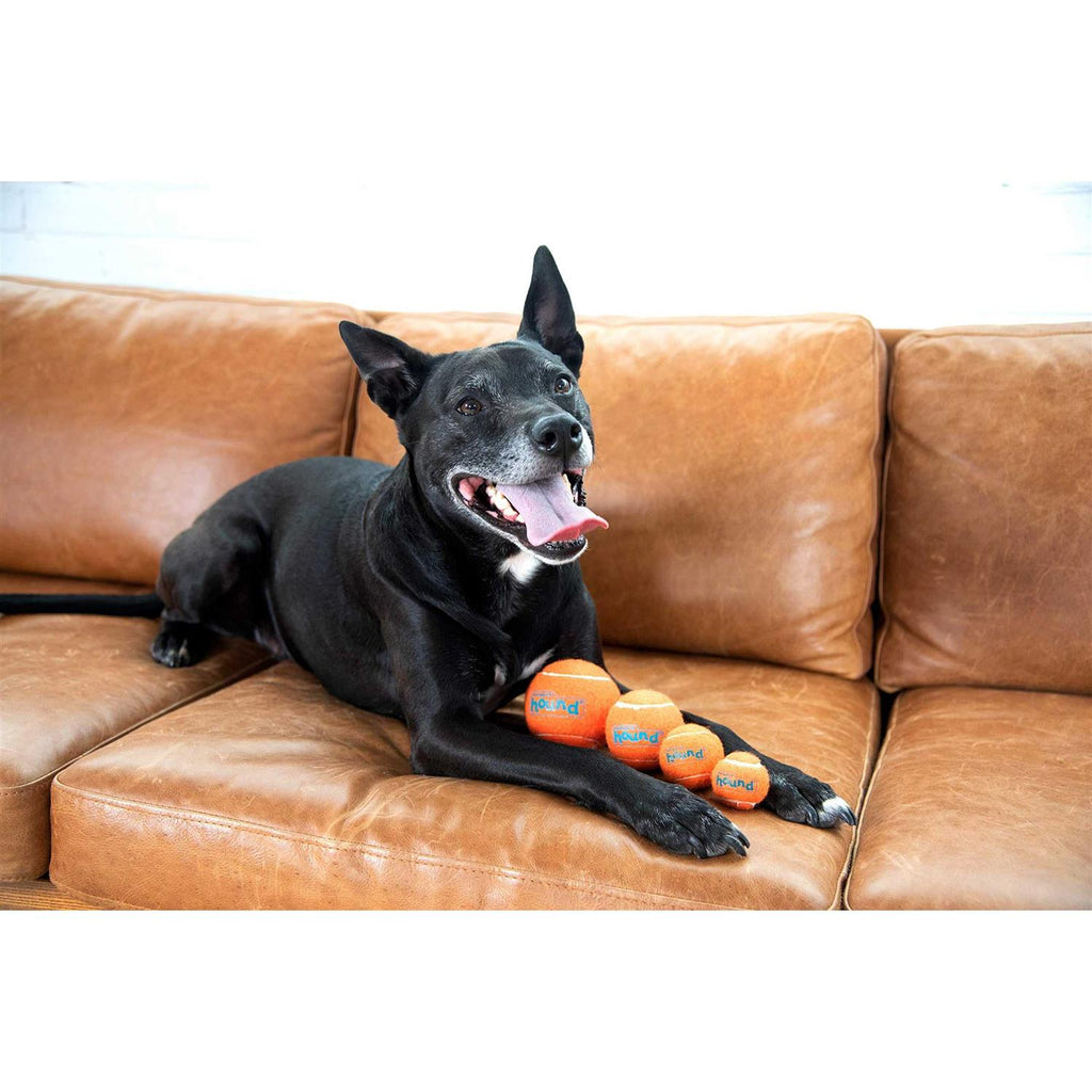 Dog Toy K50347