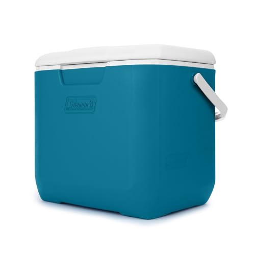 30qt Insulated Portable Cooler with Carry Handle Y71351