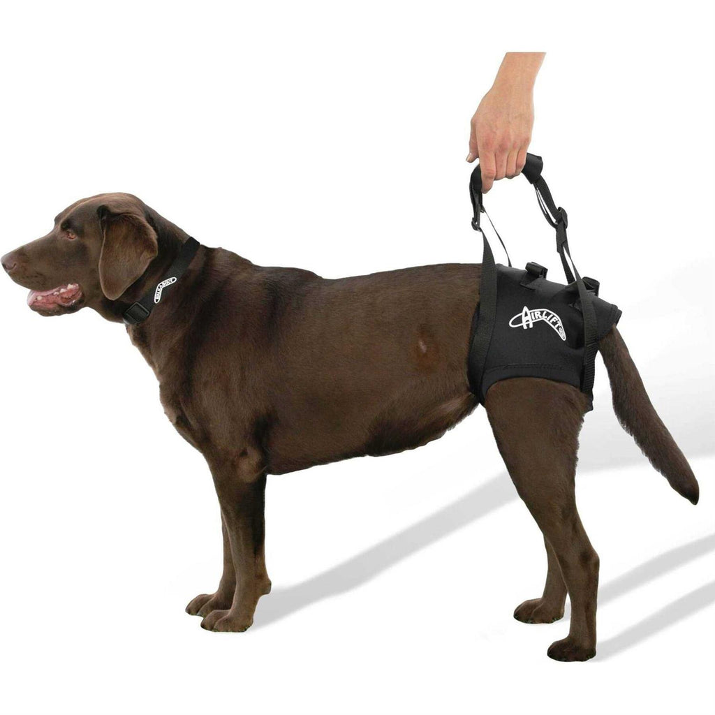 Support Harness J742962