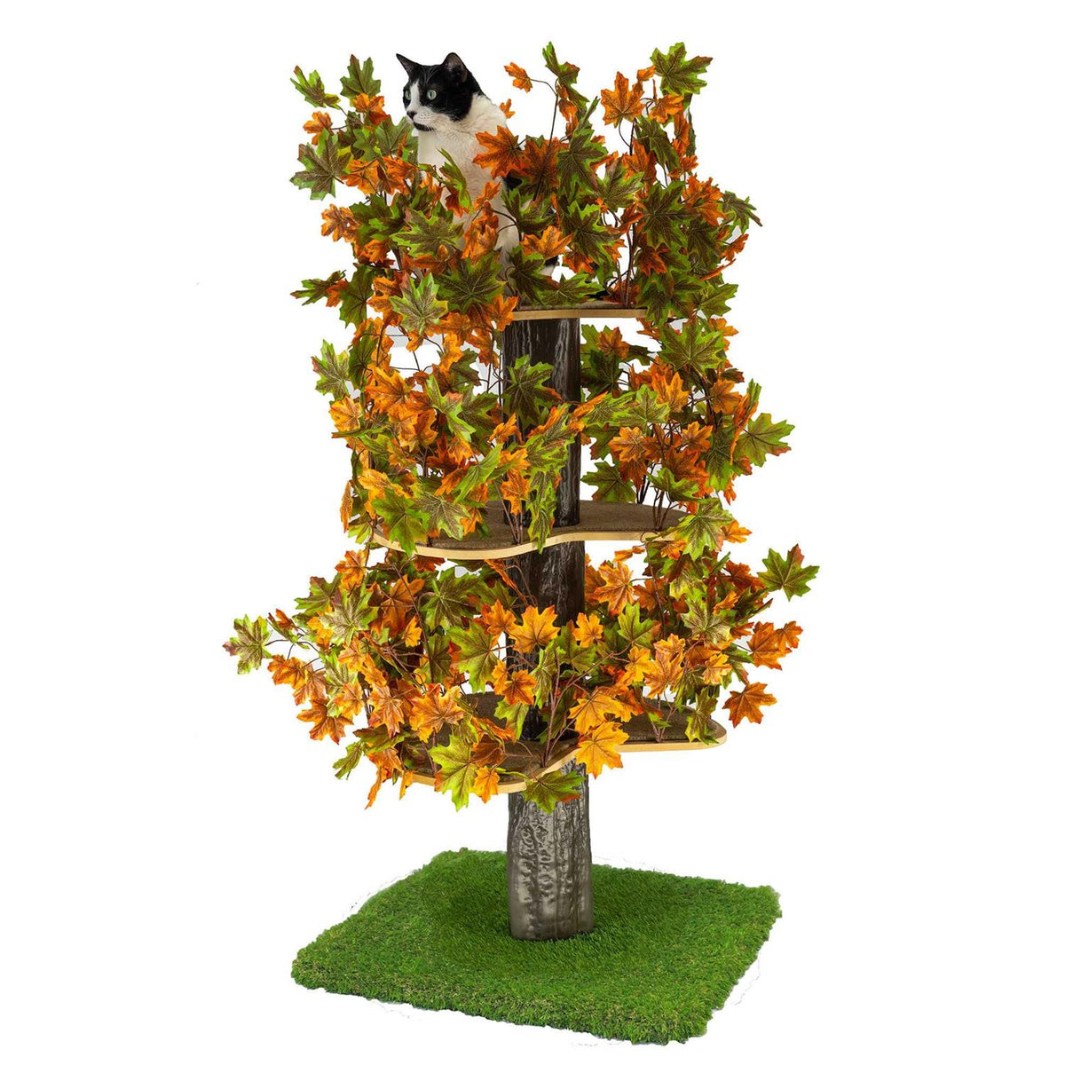 Square Cat Tree S69062