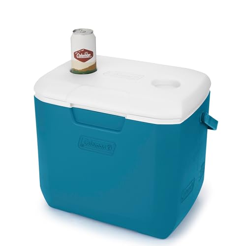 30qt Insulated Portable Cooler with Carry Handle Y71351