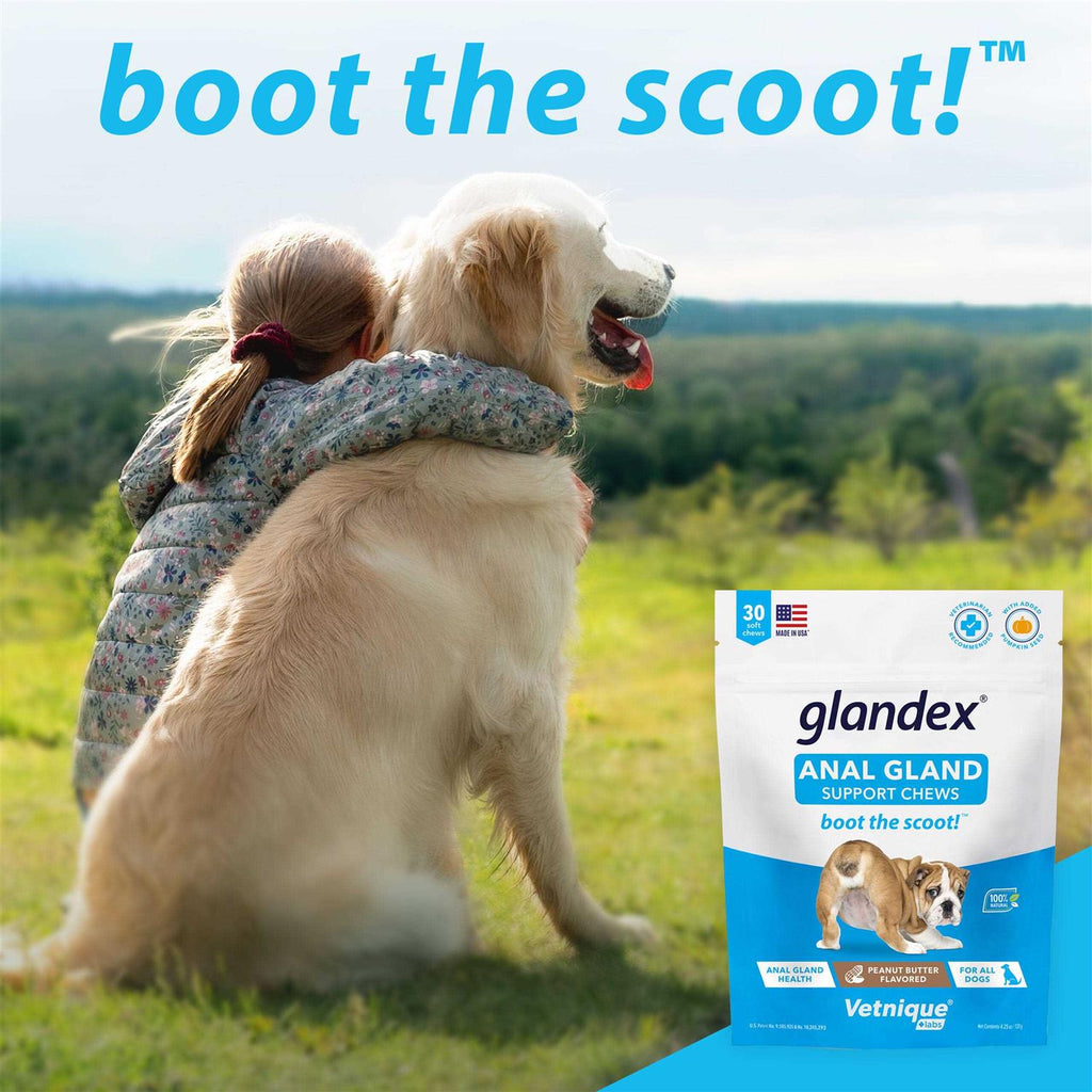 Peanut Butter Chews for Dogs D15131