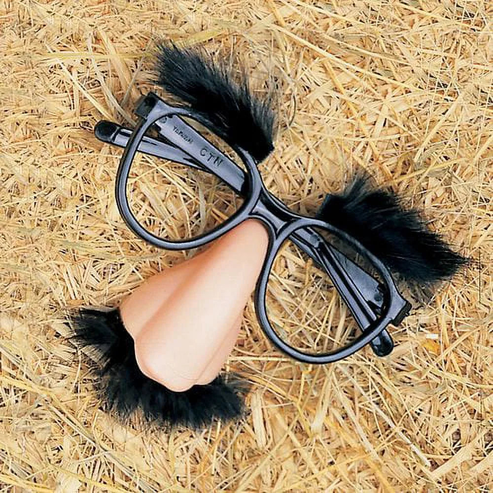 Disguise Set Glass & Mustache X17382