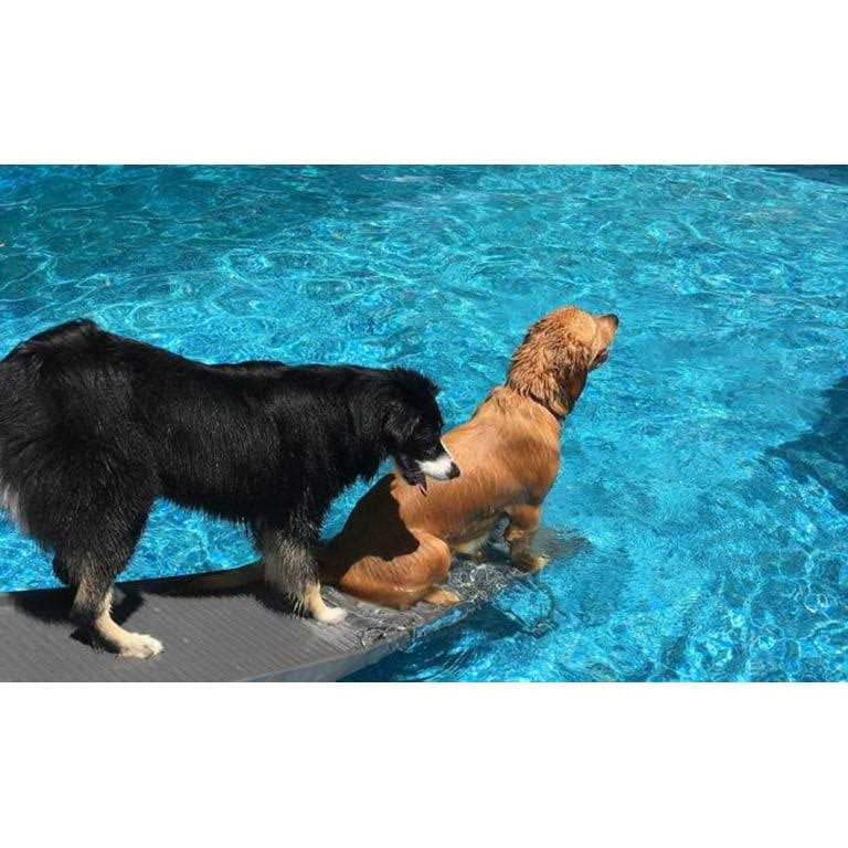 Pool Bundle J22043