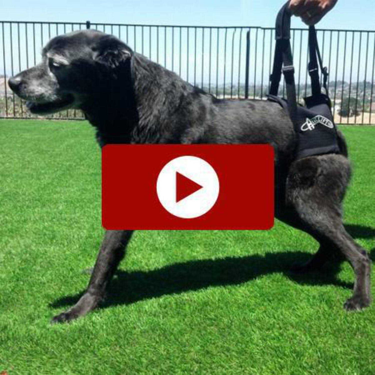 Support Harness J742962