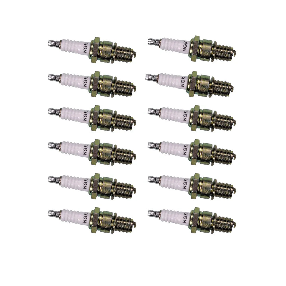 Spark Plug 12 Pack P6692