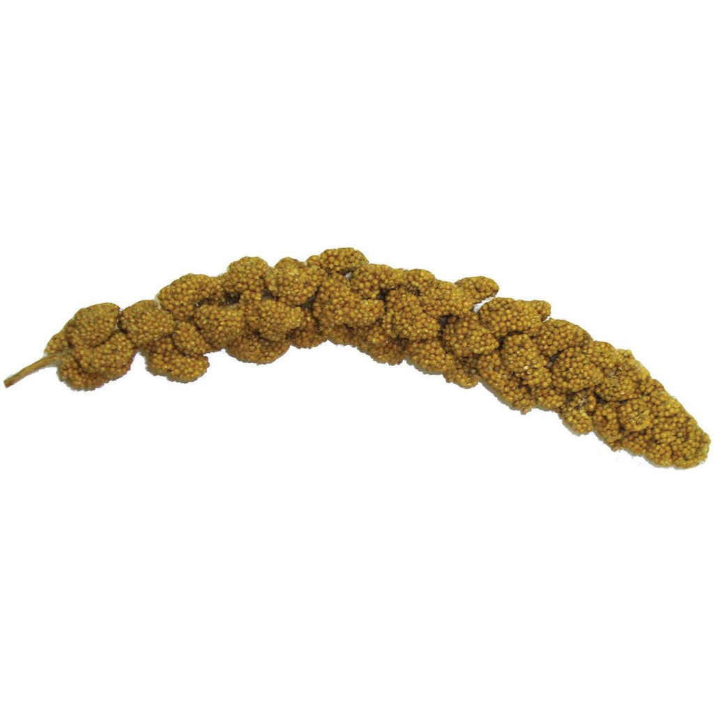 Millet Spray V50811