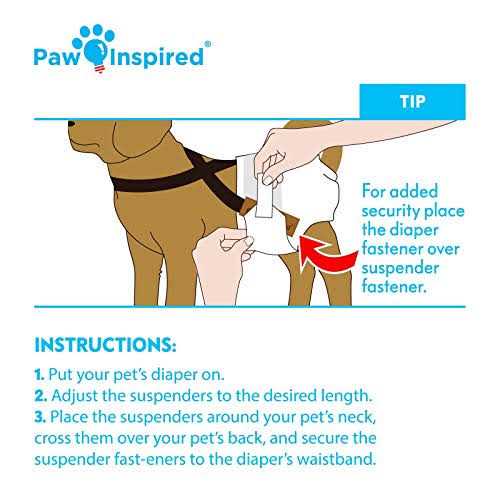 Dog Diaper Suspenders M24451