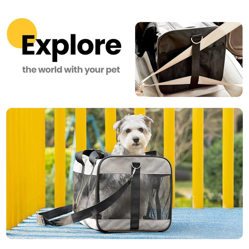 Soft-Sided Cat Carrier with Inner Safety Leash G9029
