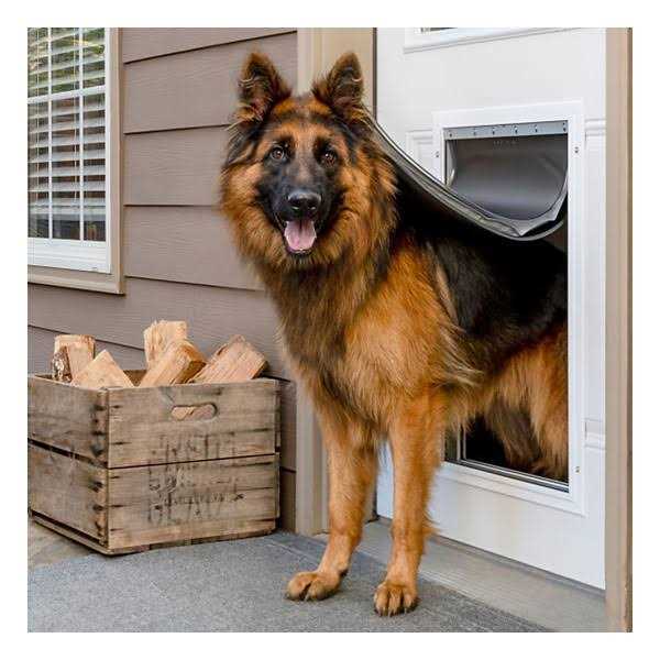 Aluminum Pet Door Y191657