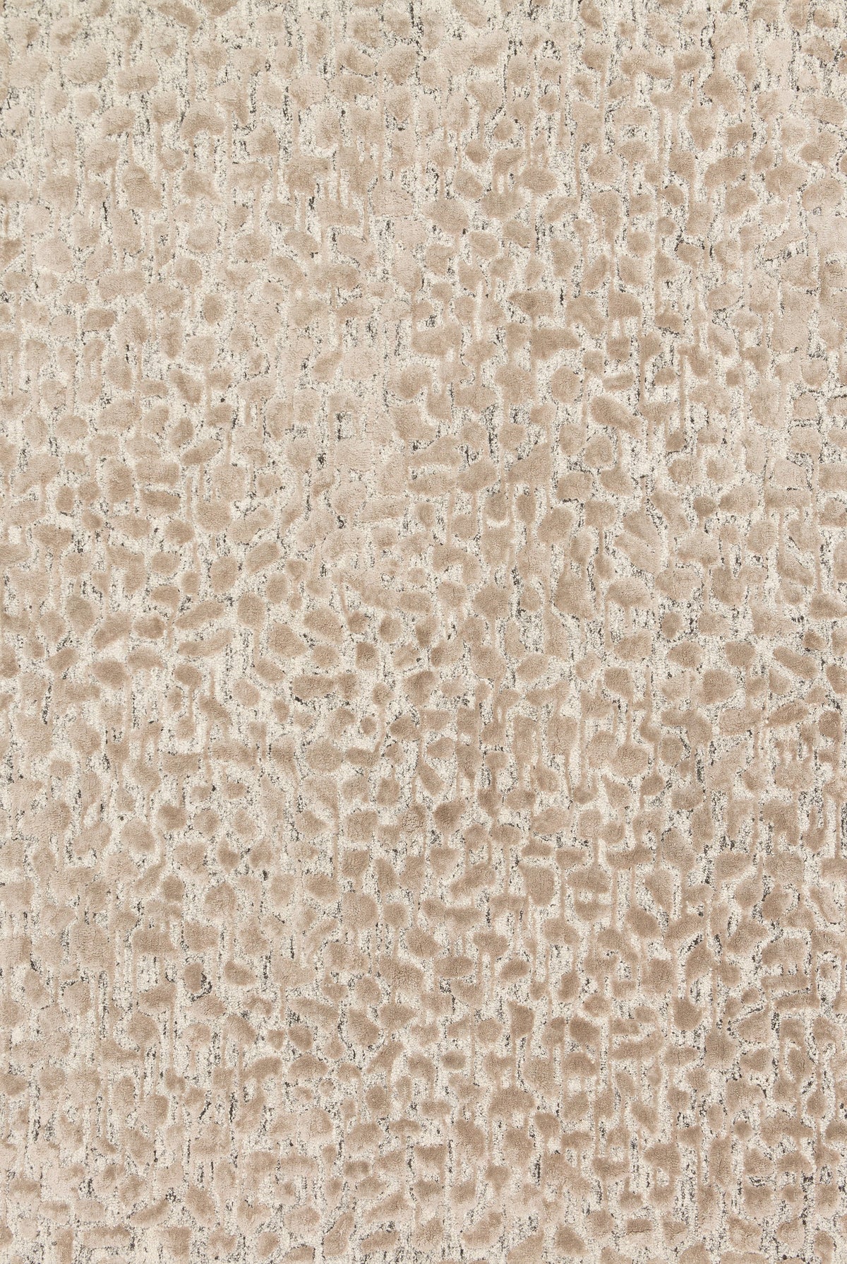 Ash Taupe 7'9 x 9'9 Rug D63726