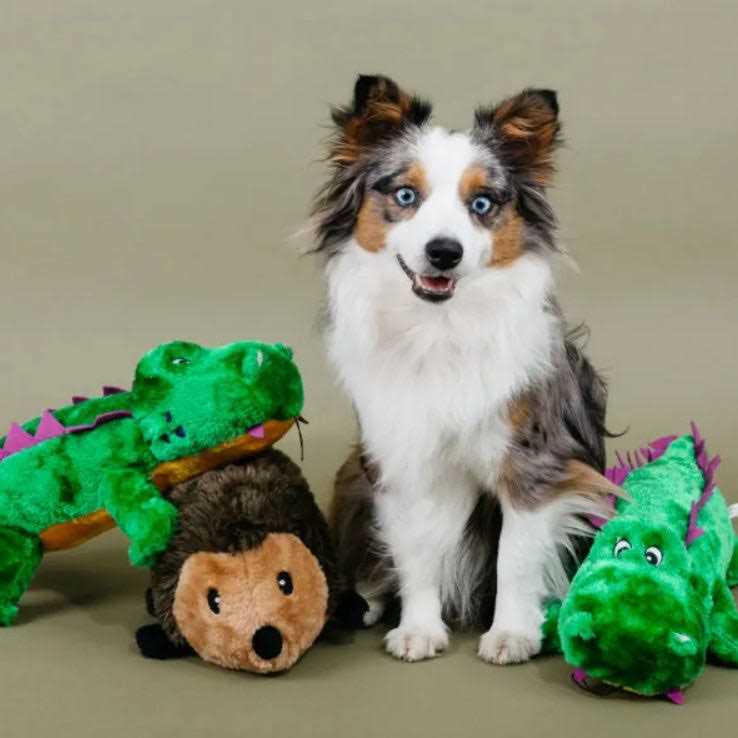 Hedgehog Dog Toy X265