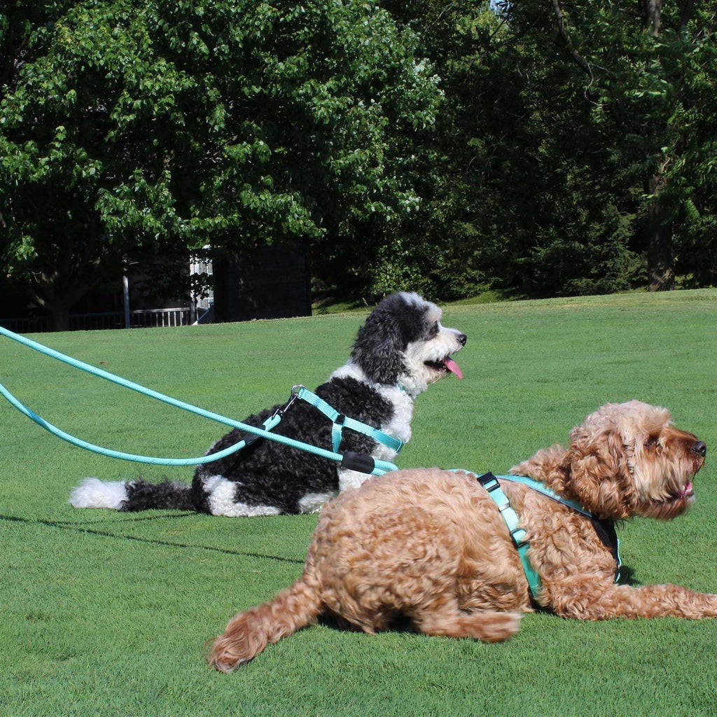 Reflective Rope Dog Leash F966
