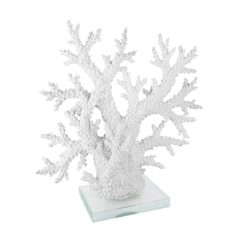 White Coral on Acrylic Base F8113