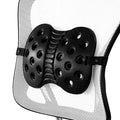 Lumbar Support B321