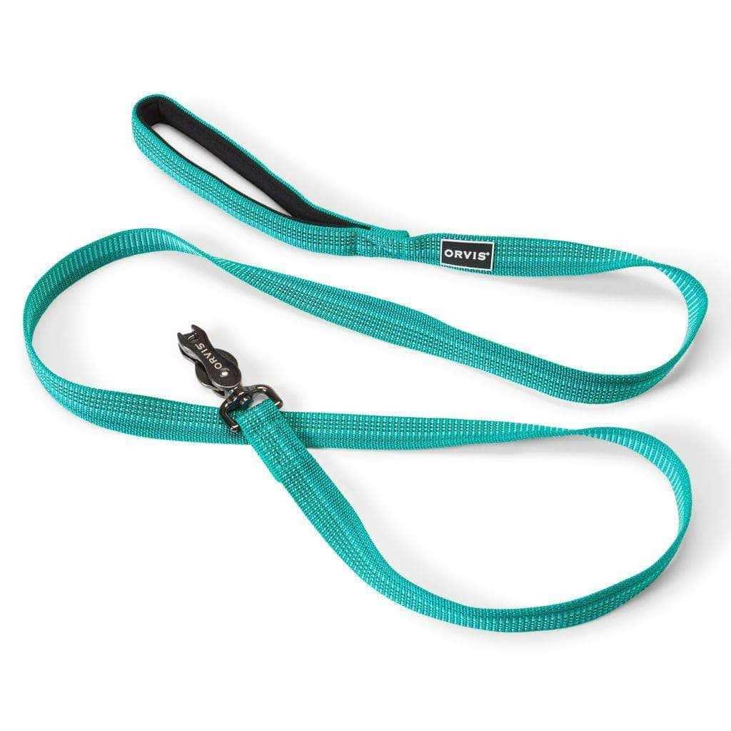 Dog Collar C10078