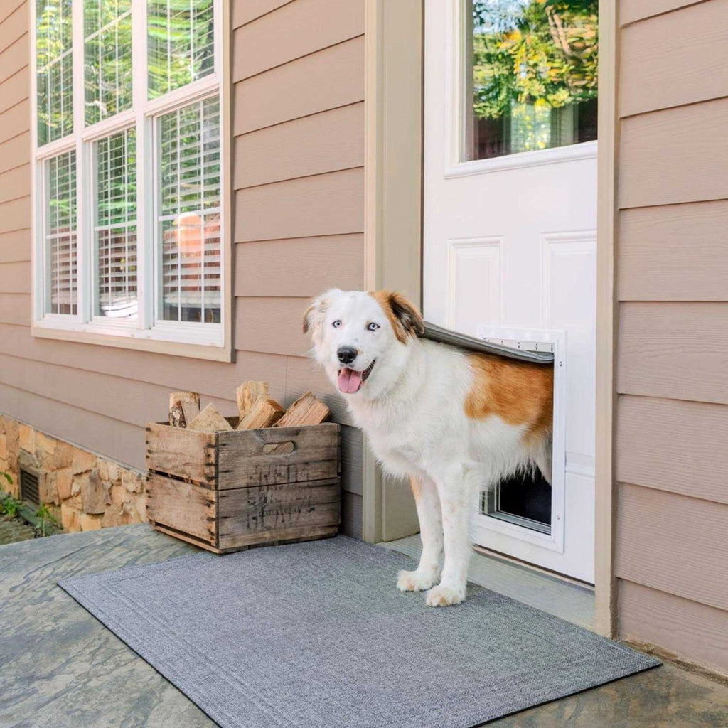 Aluminum Pet Door Y191657