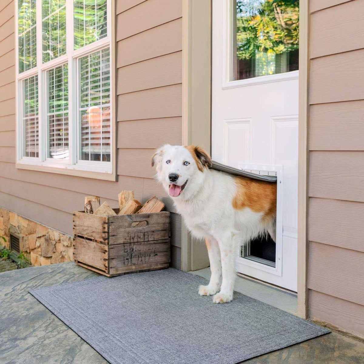 Aluminum Pet Door Y191657